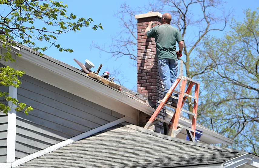 Chimney & Fireplace Inspections Services in Glendale Heights, IL